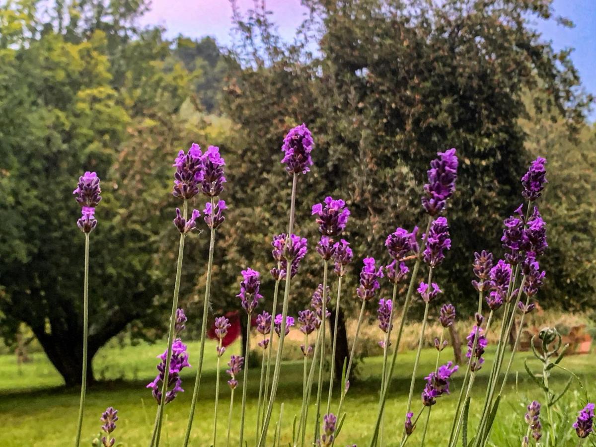 Holiday Home Les Plachettes Flobecq ภายนอก รูปภาพ