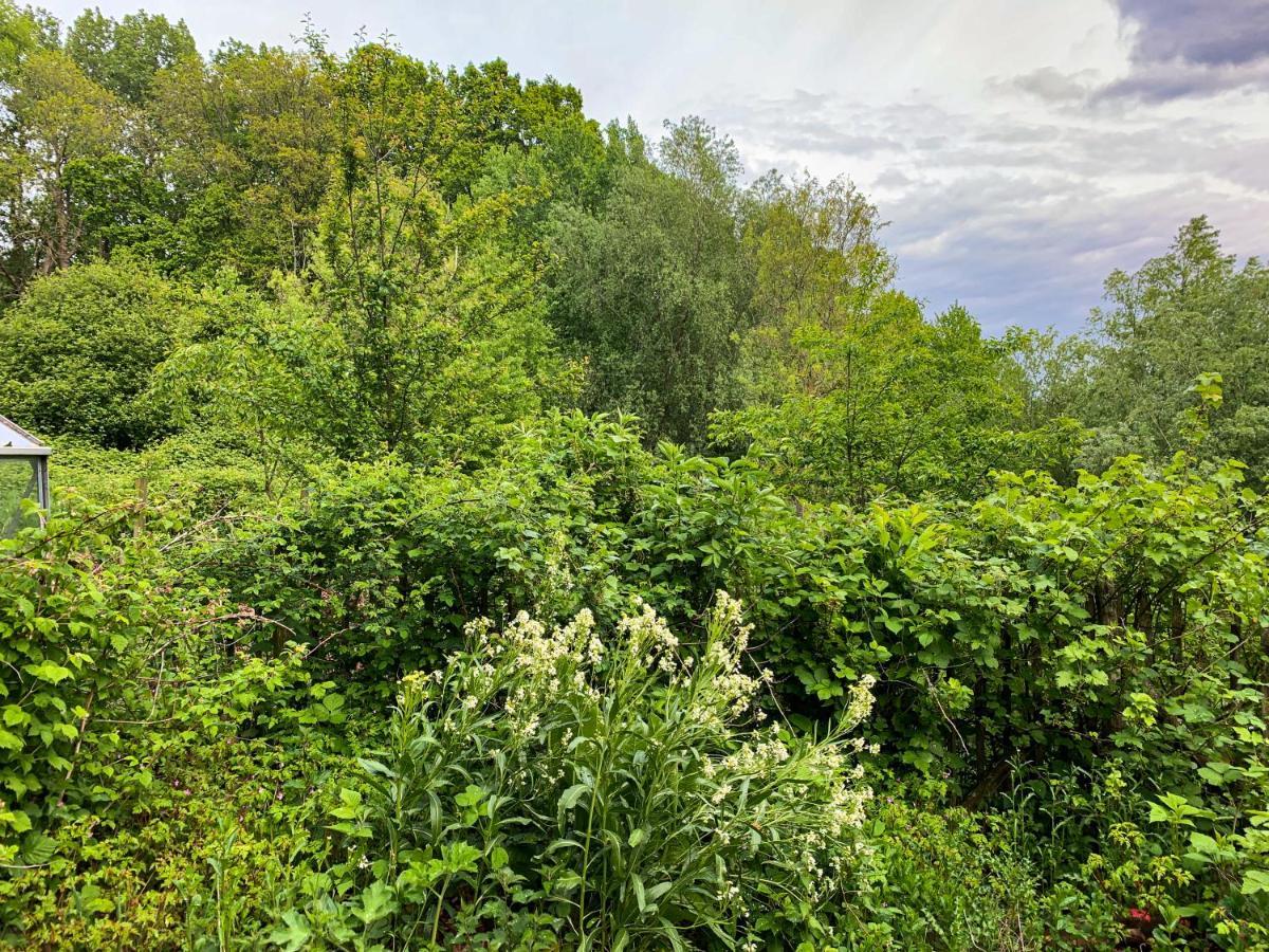 Holiday Home Les Plachettes Flobecq ภายนอก รูปภาพ